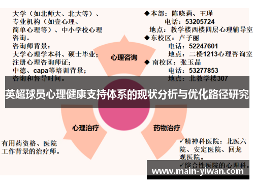 英超球员心理健康支持体系的现状分析与优化路径研究